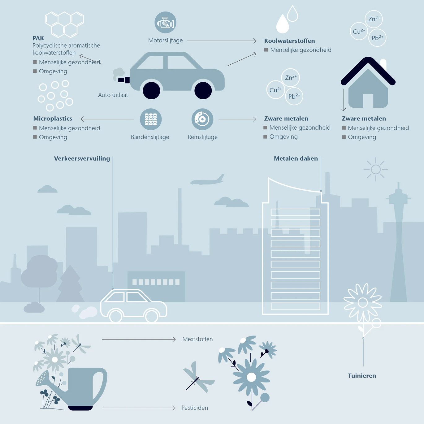 Infographic regenwaterbeheer
